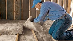 Best Spray Foam Insulation  in Mantua, VA